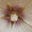 فـرح's avatar