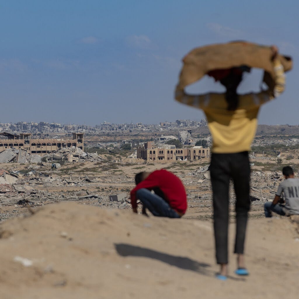 People on a hill looking out at a battered city. 