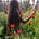Amanny Ahmad's avatar