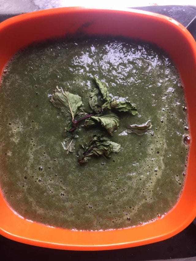 A close up of an orange bowl with palak soup with three leaves of the mint. A close up of an orange bowl with palak soup with three leaves of the mint.