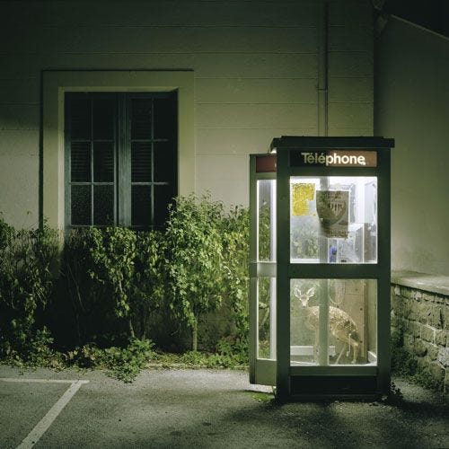 Image result for Marc Cellier photographer