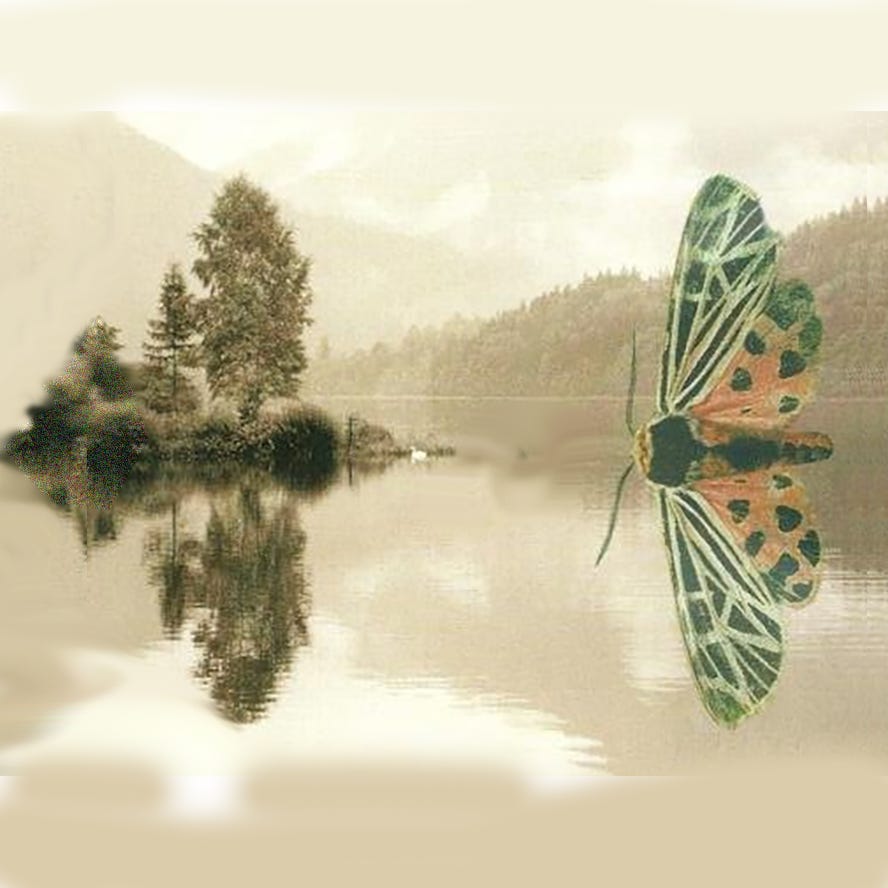 Peter D'Adamo: Generativity