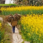 Part Three: How to Research Nutrition