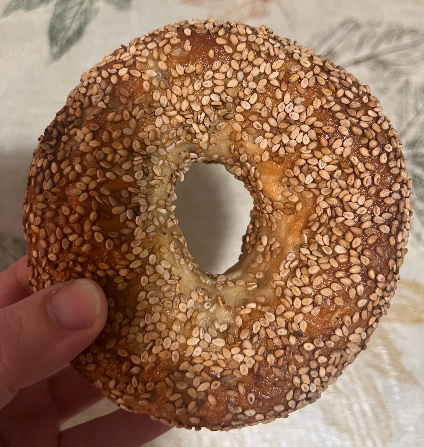 modern bread & bagel sesame bagel