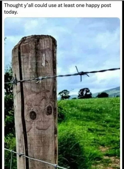 A weathered wooden fence post stands in a verdant green field under a partly cloudy sky. The post has carved circular eyes and a curved smiling mouth made from natural wood grain. Barbed wire stretches across the top of the post. Distant rolling hills and scattered trees are visible in the background.