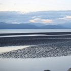 Low Tide, Counted Twice