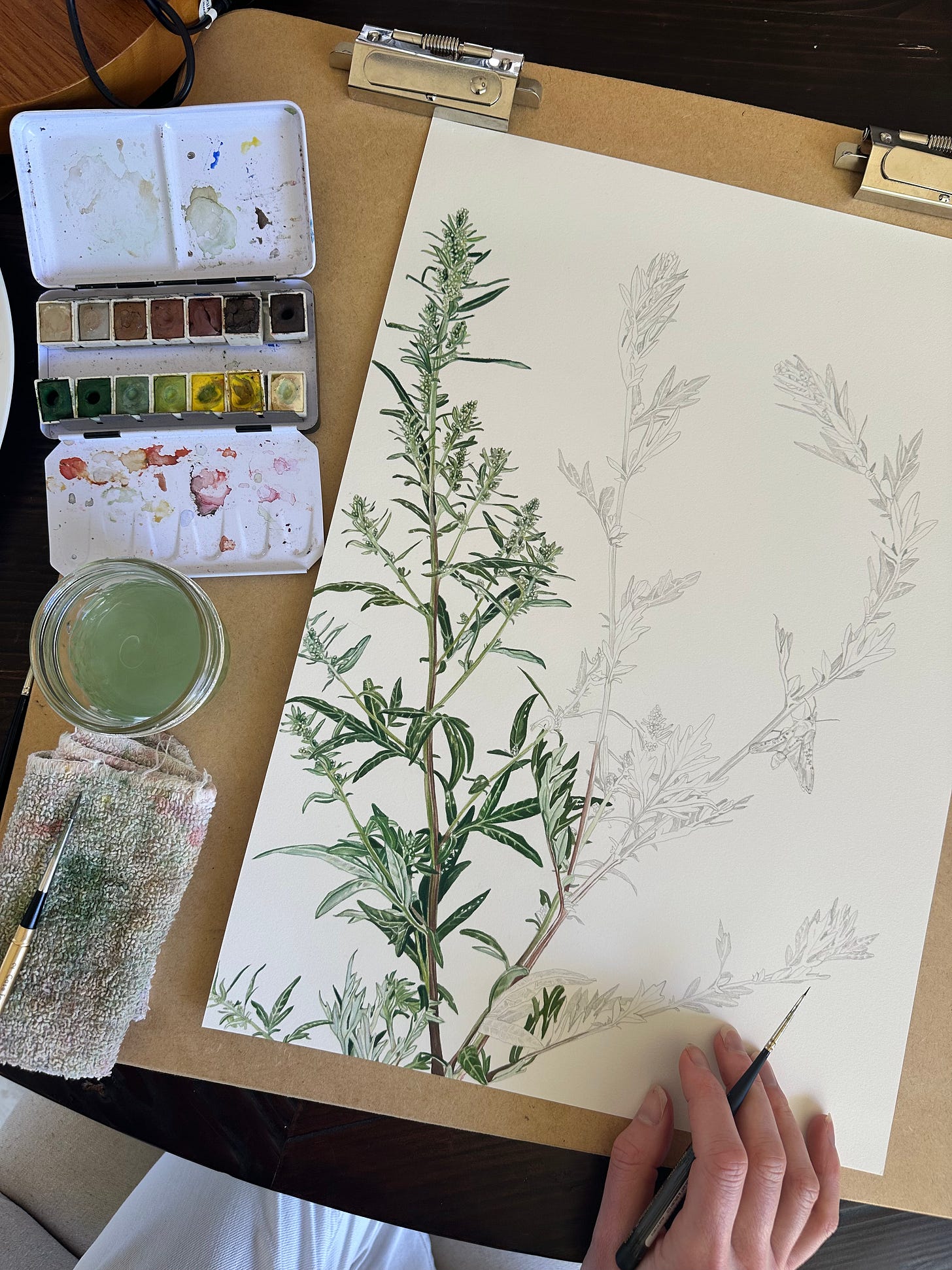 An image looking down at a half finished painting with a pencil sketch below it, of dark green leaves on white paper. There is a blotting cloth, a cup of green colored water and a palette full of little watercolor paints to the left. An image looking down at a half finished painting with a pencil sketch below it, of dark green leaves on white paper. There is a blotting cloth, a cup of green colored water and a palette full of little watercolor paints to the left.