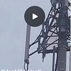 THE REAL BIRD FLU: 5G KILLING MILLIONS OF BIRDS WORLDWIDE