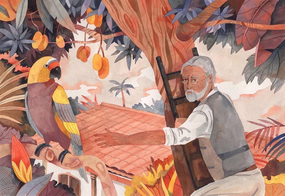 Ilustração em aquarela de um senhor de barba branca subindo uma escada apoiada numa árvore, estendendo a mão para alcançar um periquito colorido, amarelo e vermelho, com peito arroxeado, pousado no galho de uma árvore.