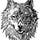The Lone Wolf Social Club 