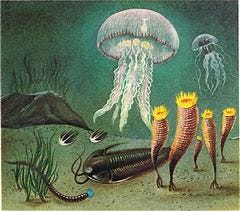 Image result for early life on earth