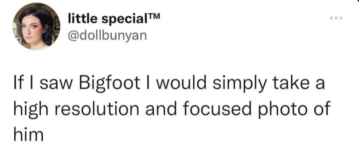 An old tweet by dollbunyan: If I saw Bigfoot I would simply take a high resolution photo of him.