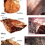 Anthropology.net