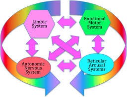 Frontiers | Somatic experiencing: using ... Frontiers | Somatic experiencing: using ...