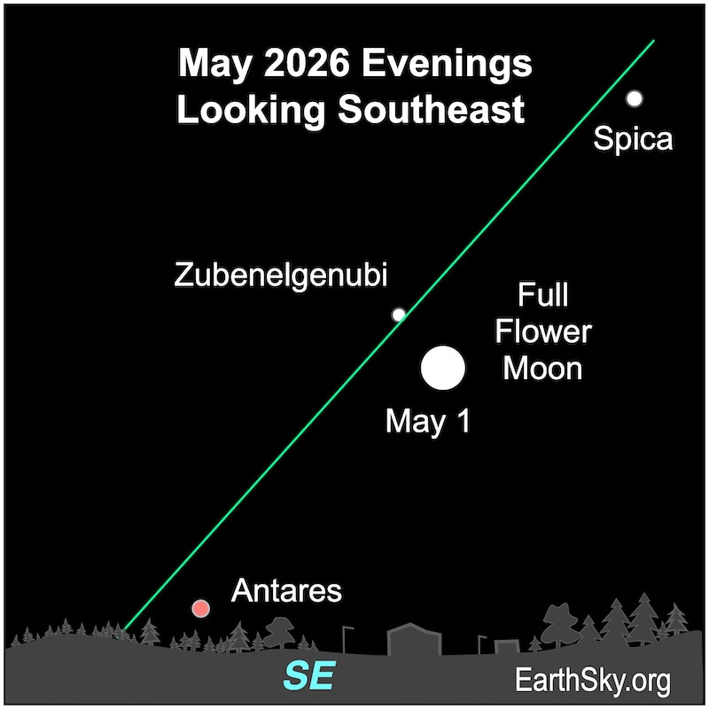 Sky chart: A round full moon between widely spaced red Antares and white Spica, all along the slanted ecliptic line.