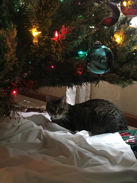 Pictures of Christmas tree and wreath and ornaments, wishing Merry Christmas