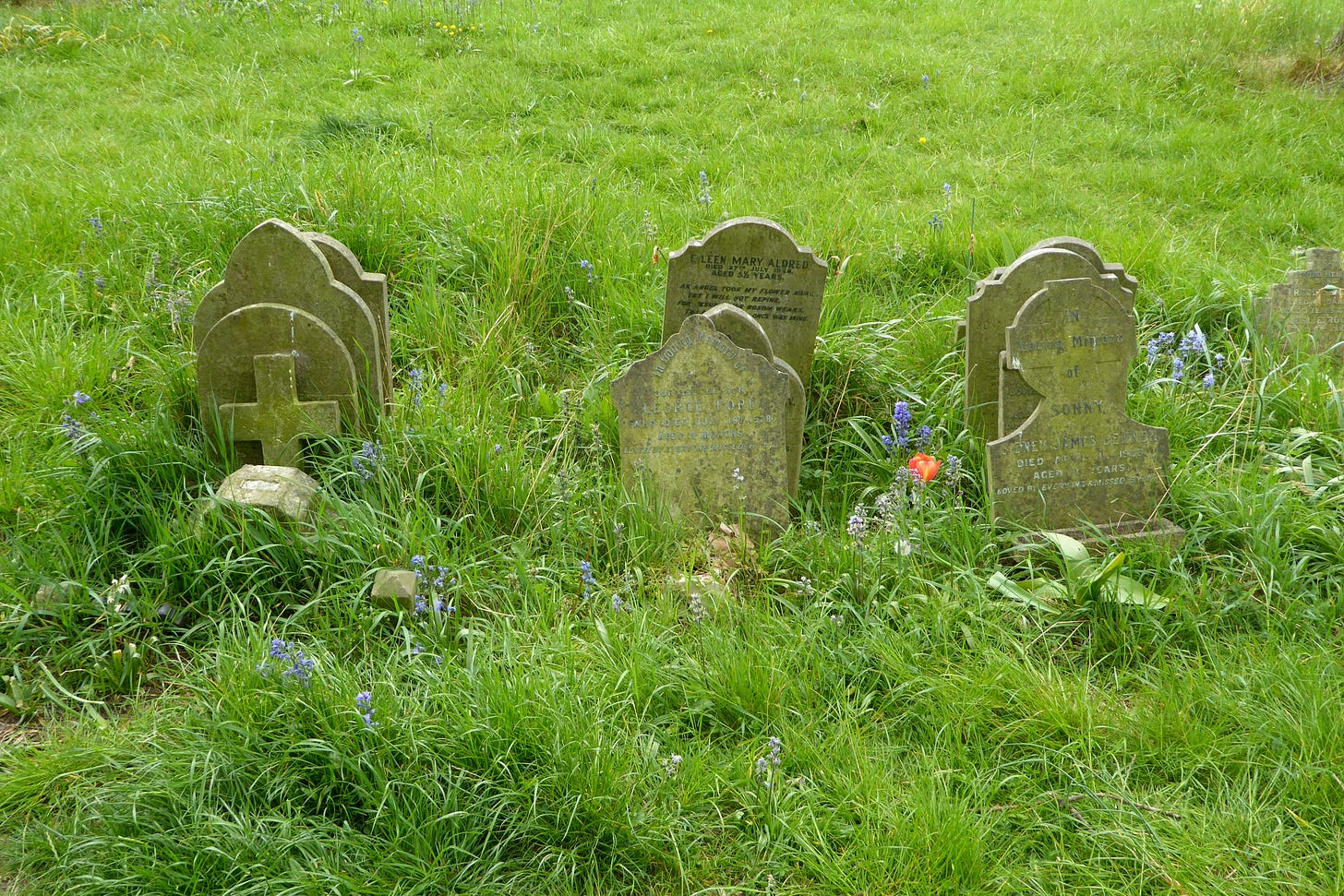 File:Small Graves Piled Together in Margravine Cemetery.jpg - Wikimedia  Commons