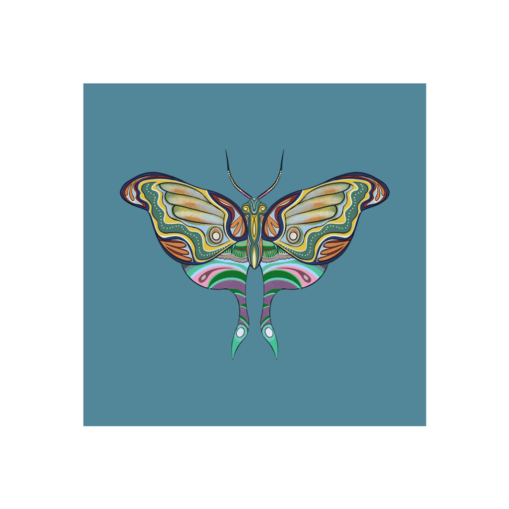 The Moth Experiment  #4