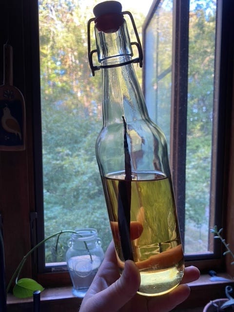 swing top bottle with a vanilla bean and vodka swing top bottle with a vanilla bean and vodka