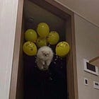 What to do when your world becomes small