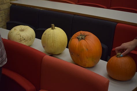 Pumpkin carving - image credit John Ray