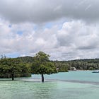 niche bucketlist #11