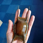 A Little Ray Rescue