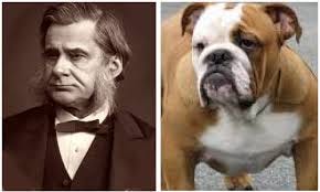 Bulldog, T.H. Huxley ...