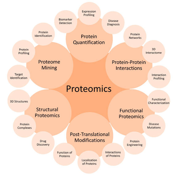 Overview of types of proteomics Overview of types of proteomics