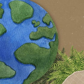What Do Environmental Economists Actually Think About the Environment?