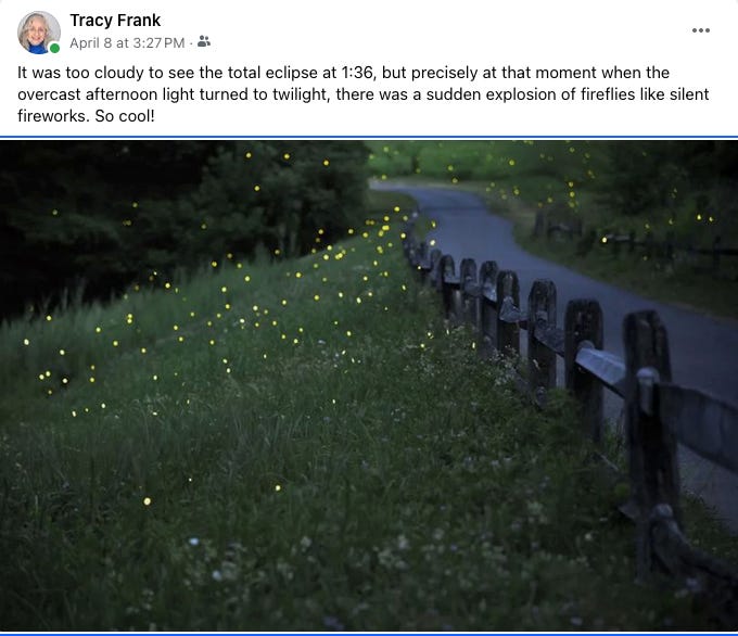 My sister's Facebook post with a photo of fireflies on the greenway in Austin. My sister's Facebook post with a photo of fireflies on the greenway in Austin.