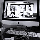 Cae's Daily Kitties V1