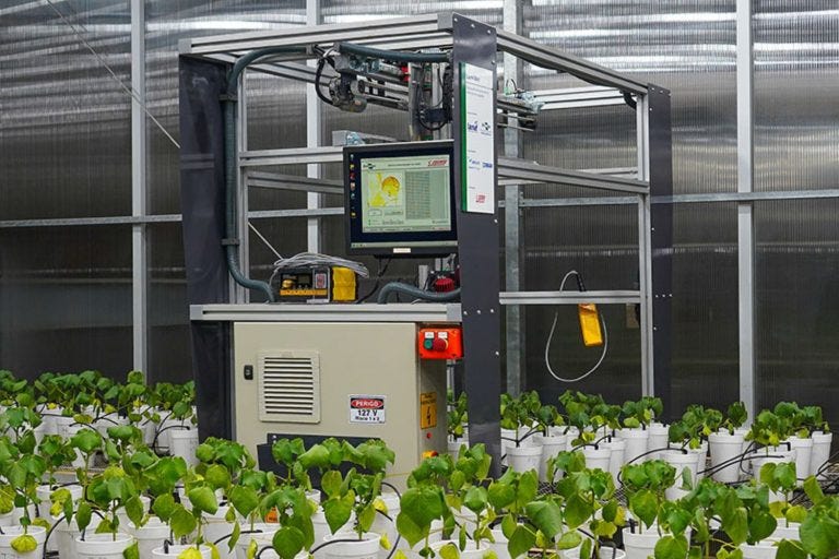 Robô LumiBot da Embrapa Usa Luz para Diagnóstico Precoce de Doença em Algodão e Soja Robô LumiBot da Embrapa Usa Luz para Diagnóstico Precoce de Doença em Algodão e Soja