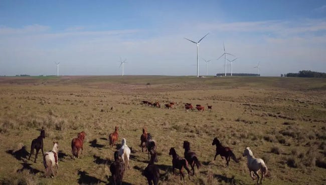 Parc éolien sur une vaste plaine de l'Uruguay où, en avant-plan, galopent des chevaux en liberté..
