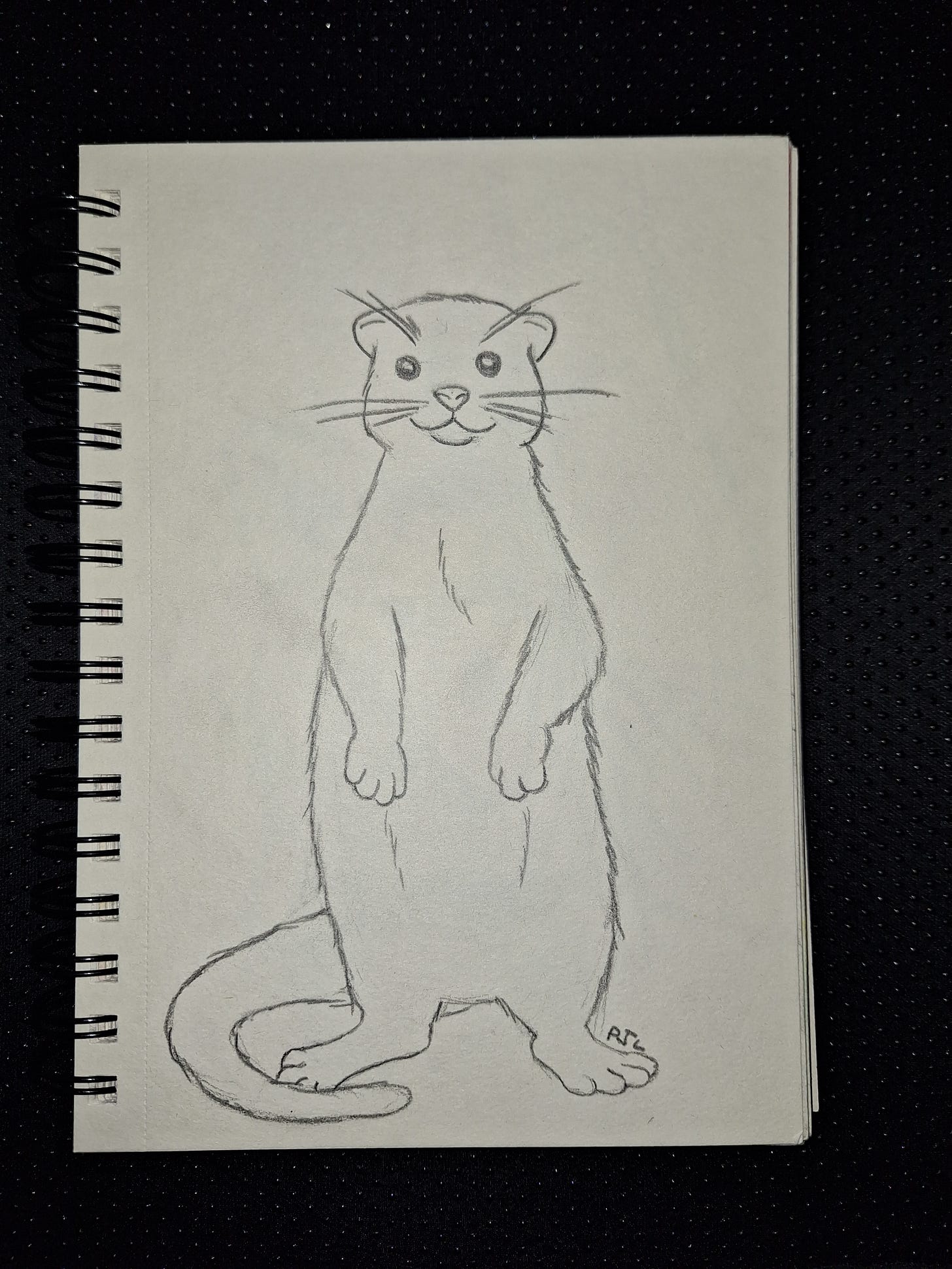 pencil drawing of an otter by fantasy author patricia jl