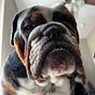 Winston's avatar