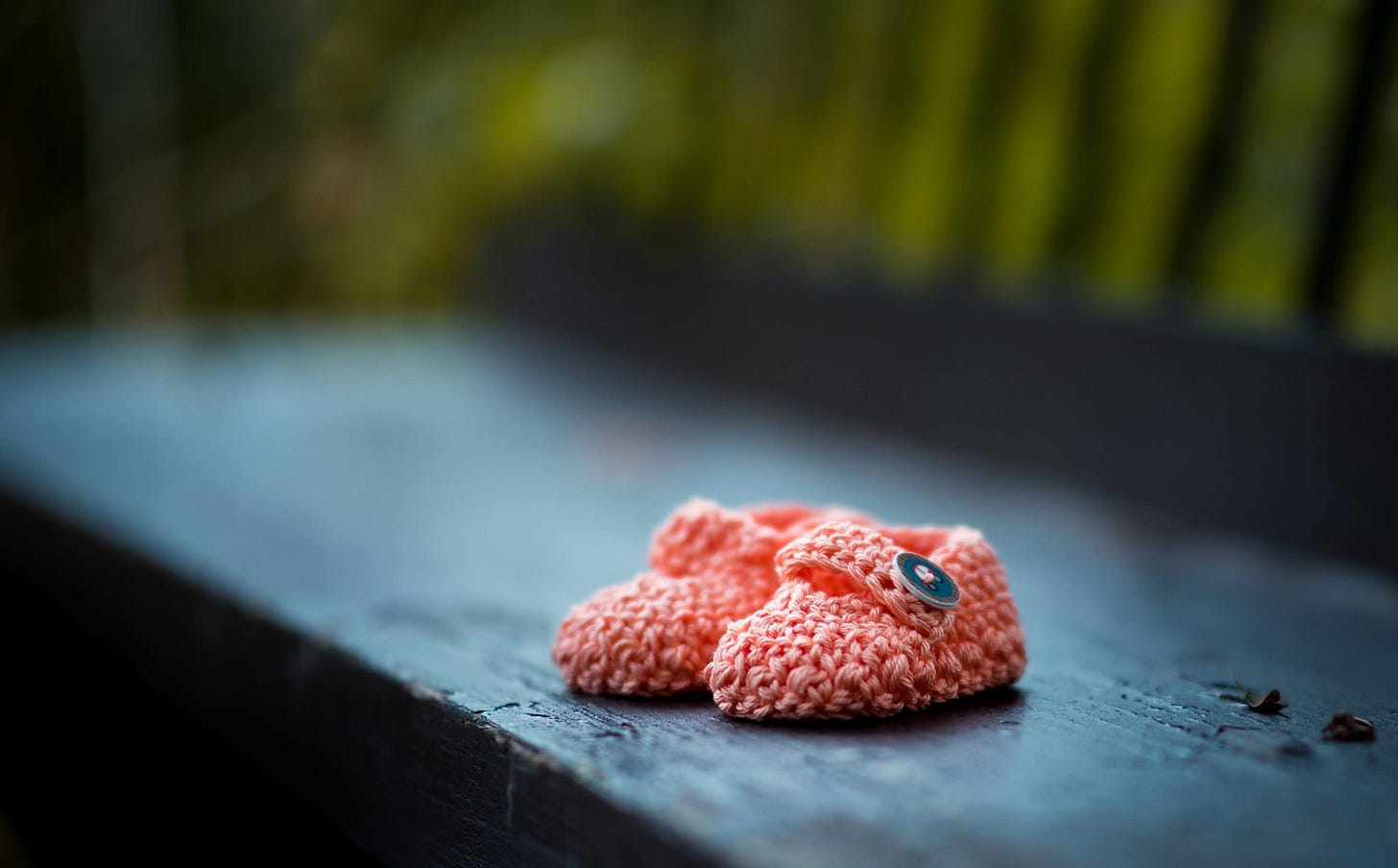 trinette abortion blog trinette abortion blog