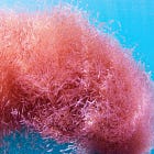 The Oceans-nearly two-thirds of the planet's suface-finally has an international treaty for its protection