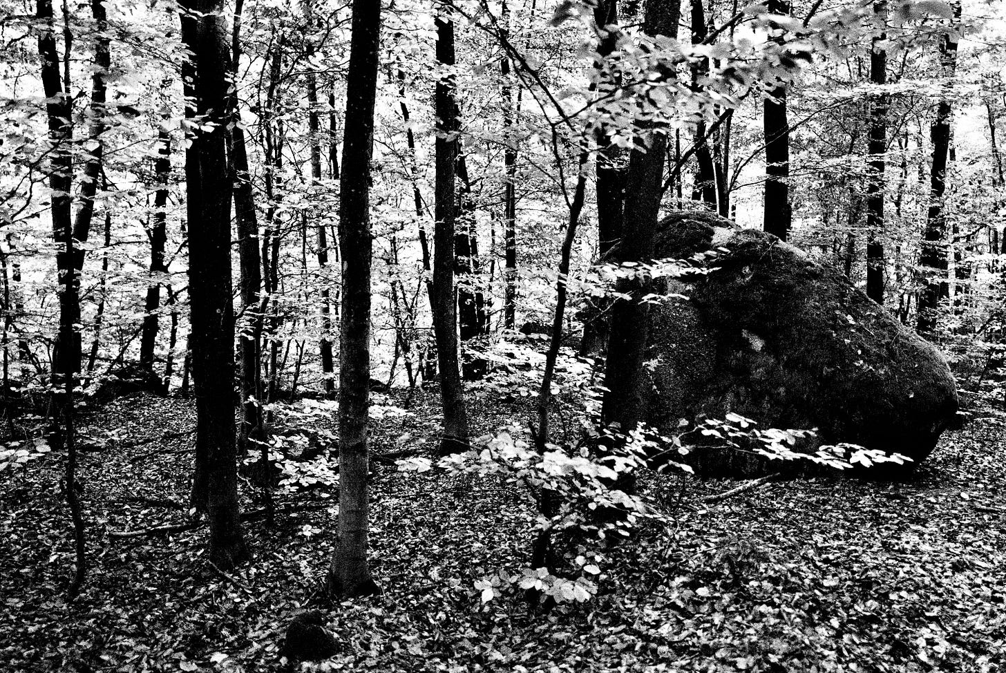 Sascha Büttner Leica Fotografie