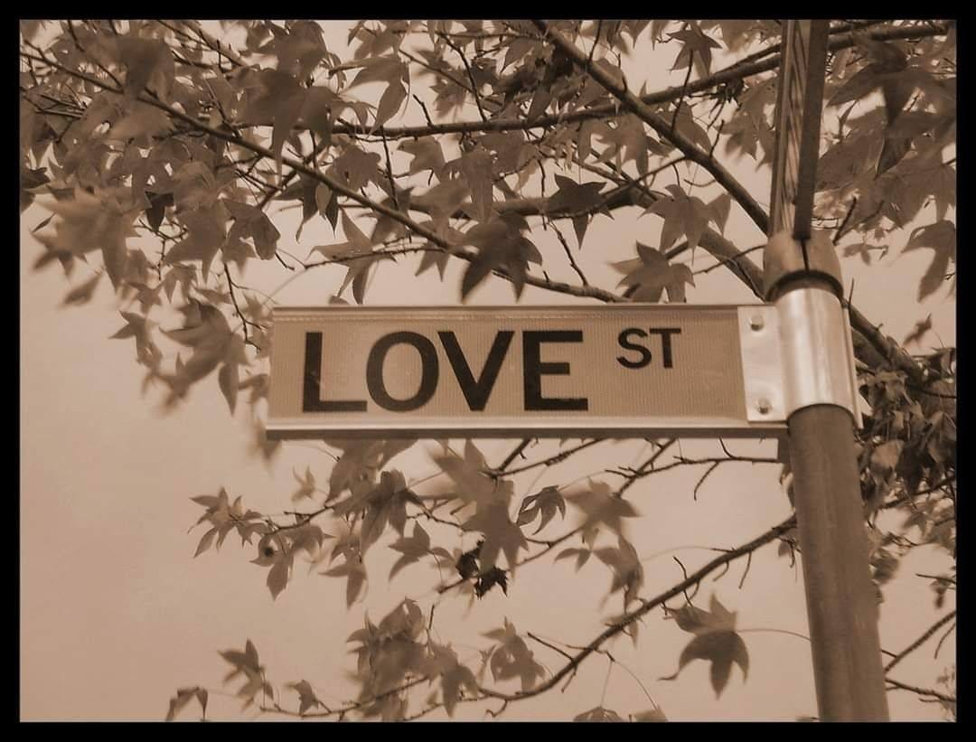 May be an image of text that says 'LOVE ST' May be an image of text that says 'LOVE ST'
