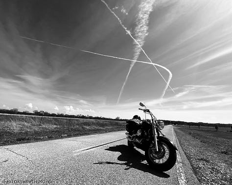 Shot of motorcycle, marshland and tree.