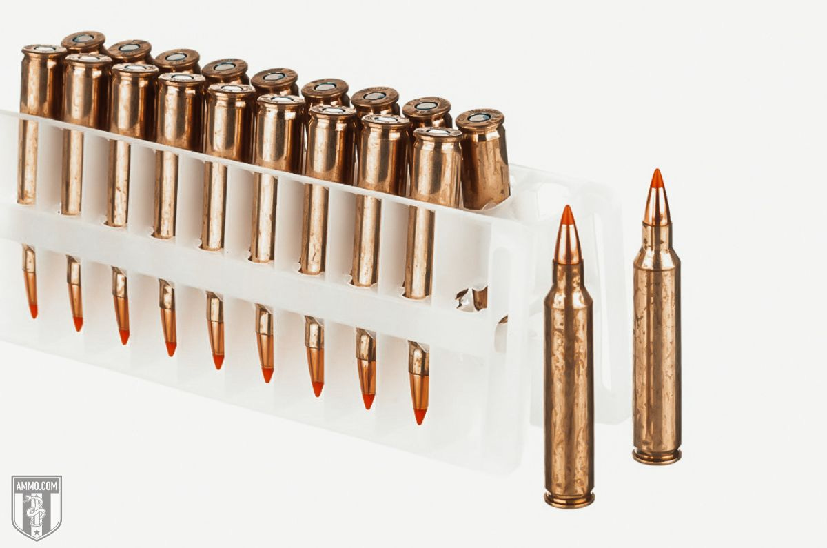204 Ruger ammo for sale