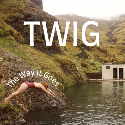 TWIG - The Way It Goes