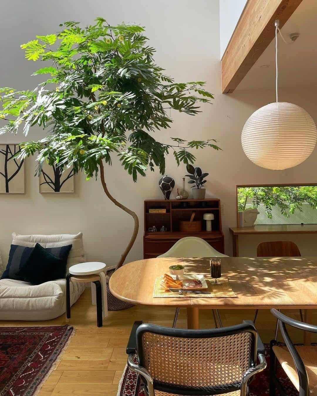a gorgeous tree in. mid mod japandi inspired living room. a gorgeous tree in. mid mod japandi inspired living room.