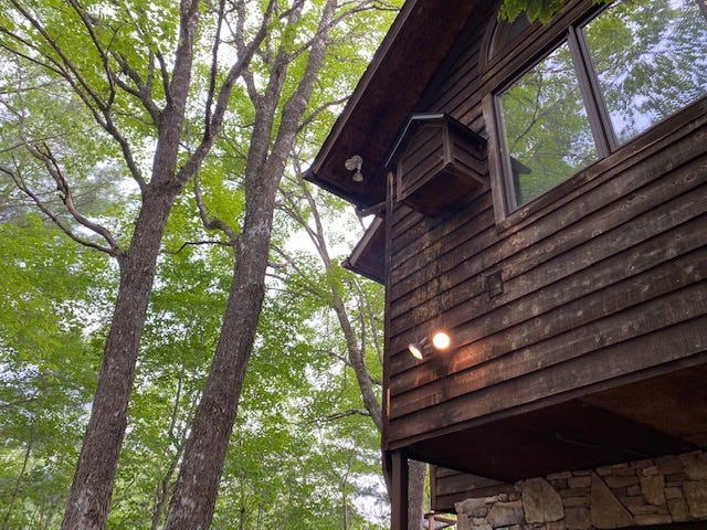 side of a cedar cabin next to trees