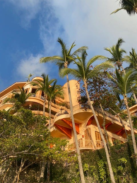 A peach colored multi-level terraced beach side hotel wraps around palm trees in Puerto Vallarta. A colorfully dressed bearded man walks amongst ornate gardens of flowers at the Vallarta Botanical Gardens