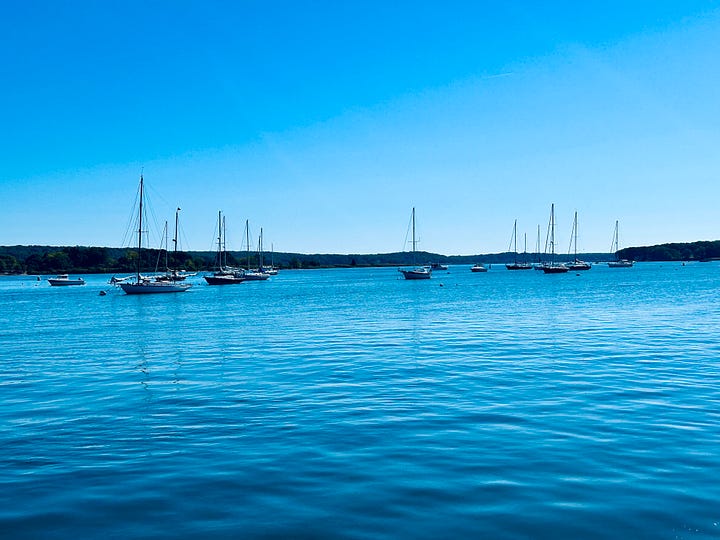 ships, water, dock, building, sky