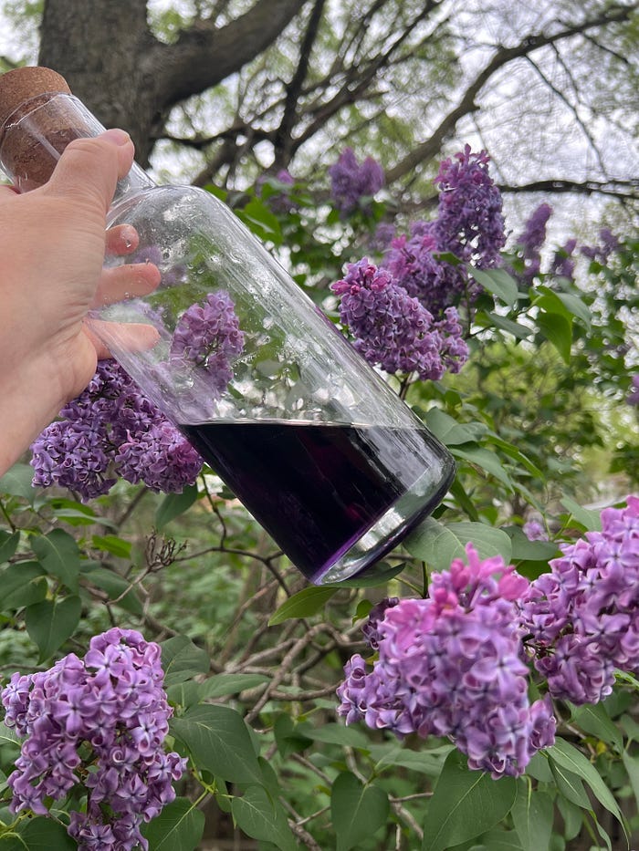 A flask of violet syrup A flask of violet syrup