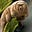 Tardigrade's avatar