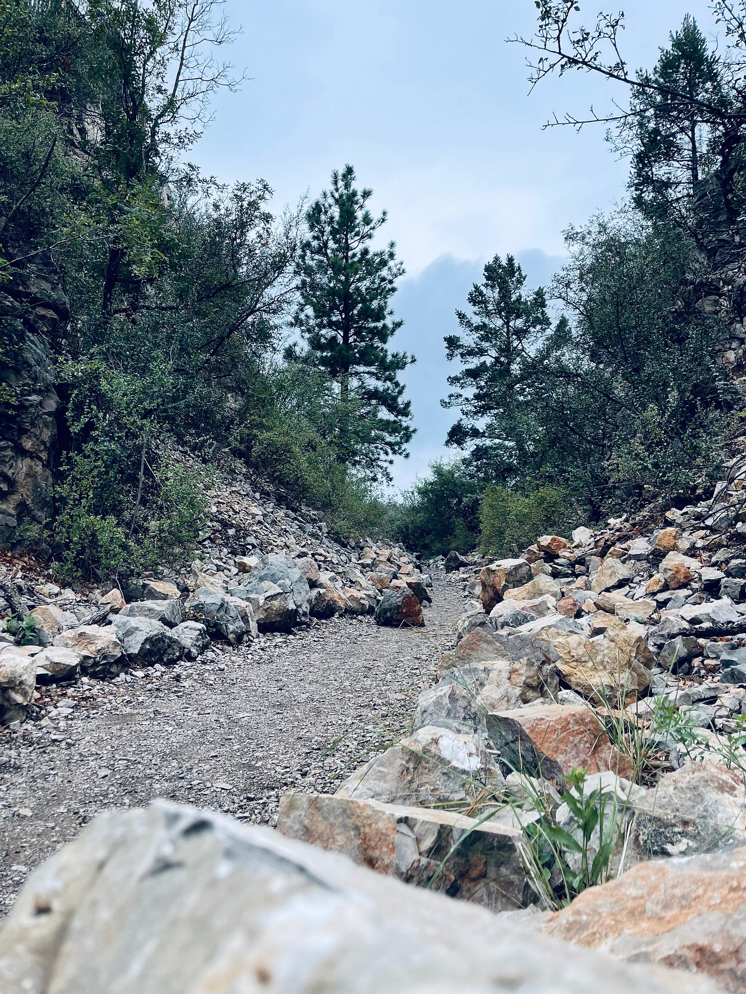 The ride home always seems faster than the ride there